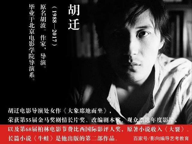胡姓导演名单?(胡波导演)