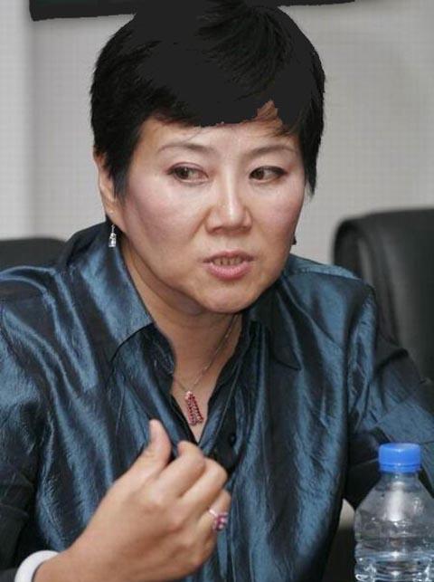 什么大院电视连续剧好看？(导演胡玫)