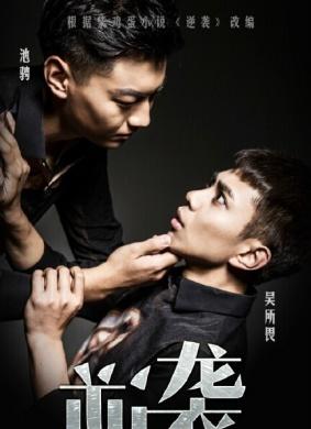 逆袭之爱上情敌,有多少集?(安鹏导演)