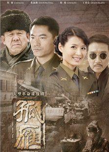 电视剧《孤雁》共有多少集？(导演李珩)