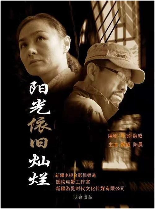 灿烂的季节何莹扮演者?(魏威导演)