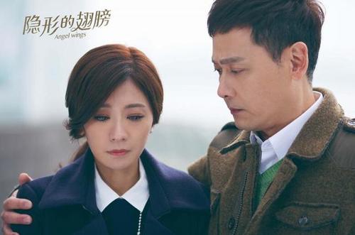 无法飞的翅膀有意义吗？(没有翅膀也要飞翔电视剧导演)