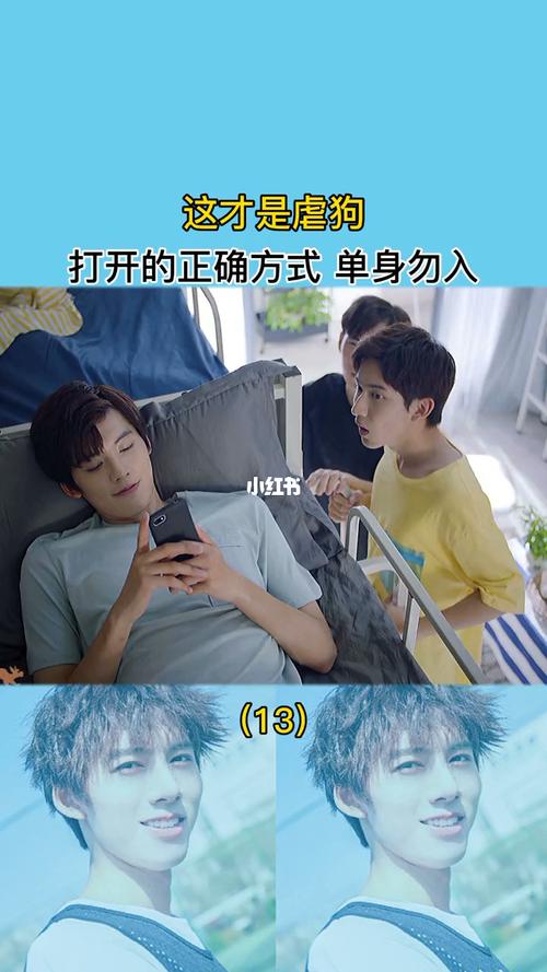 我凭本事单身原著小说叫什么?(导演林妍)
