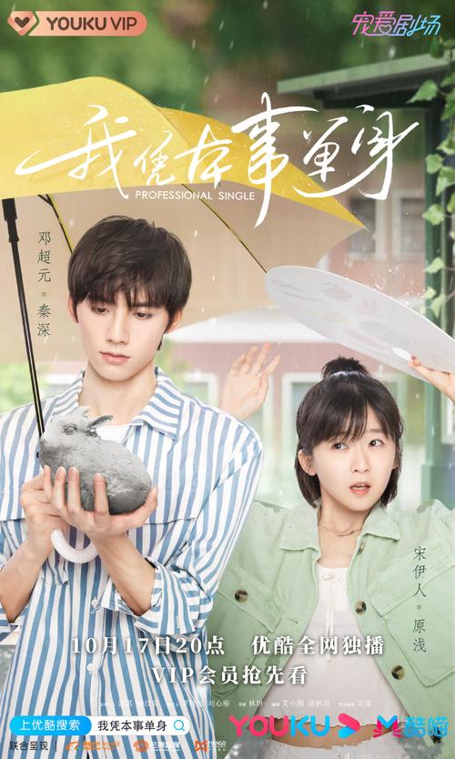 我凭本事单身原著小说叫什么?(导演林妍)