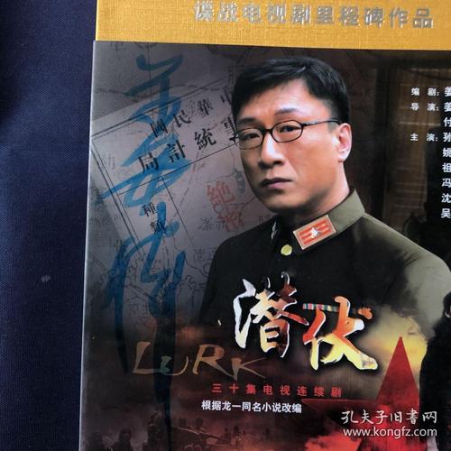 潜伏导演?(姜伟导演的电视剧)