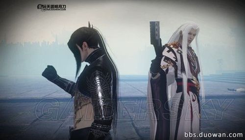 天涯明月刀公子羽的功夫既然不是大悲赋，那是什么？(寒冰导演图片)