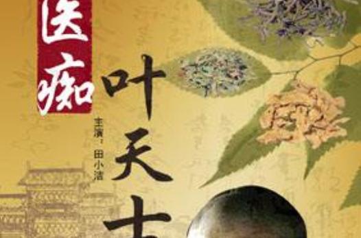 医痴叶天士什么时候拍的?(神医传奇导演)