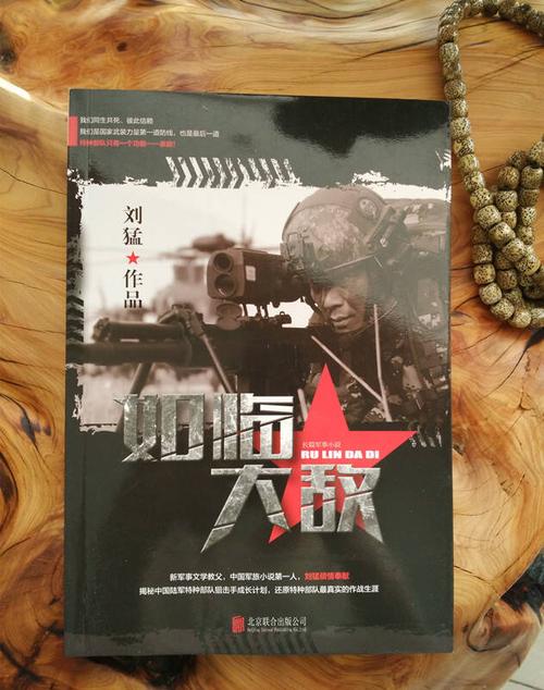刘猛的小说有哪些拍成电视剧了?导演是刘猛吗?(刘猛导演工作室)