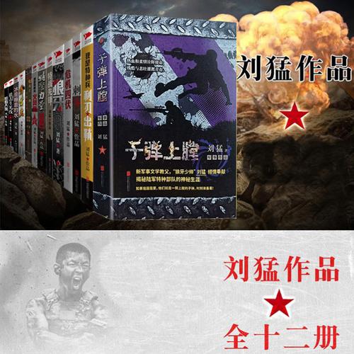 刘猛的小说有哪些拍成电视剧了?导演是刘猛吗?(刘猛导演工作室)