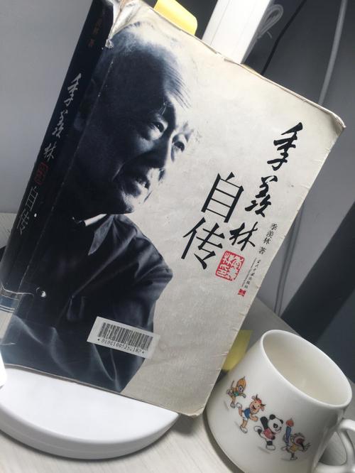 中国作家自传电影?(导演自传电影)