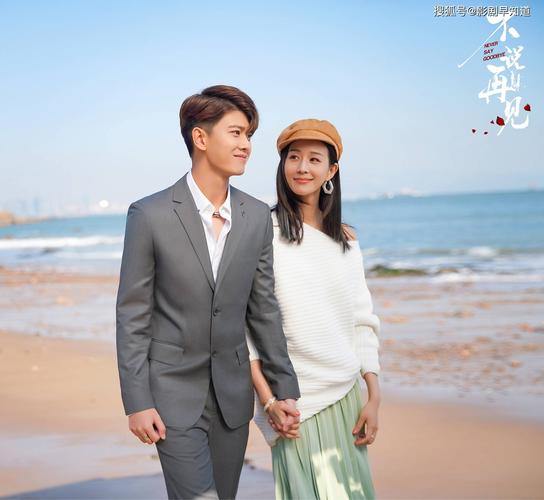 不说再见哪年上映的？(穆青 导演)