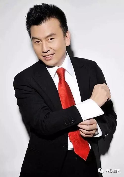湖北在央视主持有几位?(武汉电视台男导演名单)