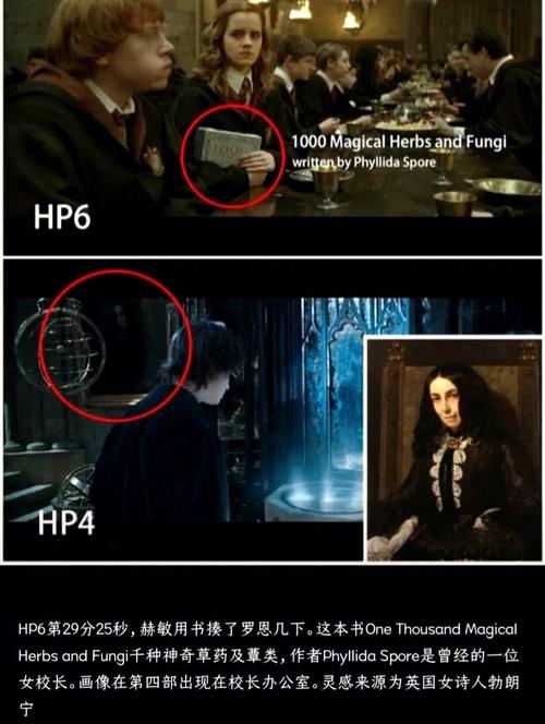 求哈利波特电影加长版增加的细节?(巫师1导演剪辑版打不开)