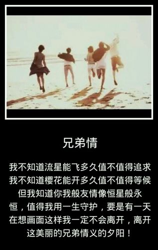 用几个词概括兄弟的情谊?(兄弟之情导演)