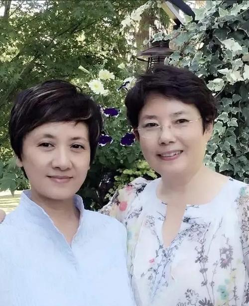 陈力女儿现状？(陈力导演的作品)