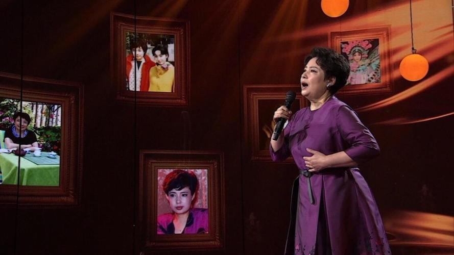 陈力女儿现状?(陈力导演的作品)
