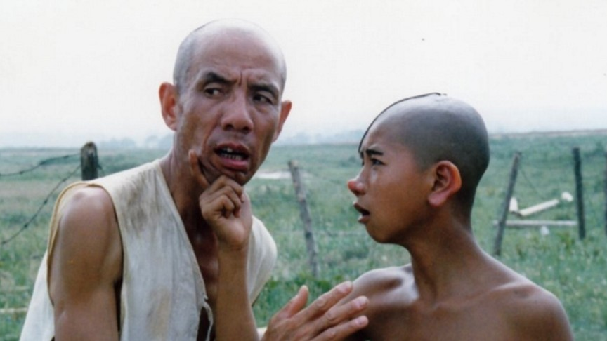 三毛从军记电影哪个平台?(三毛从军记 导演)