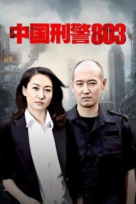刑警803一共多少集?(中国刑警803导演)