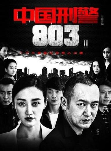 刑警803一共多少集？(中国刑警803导演)