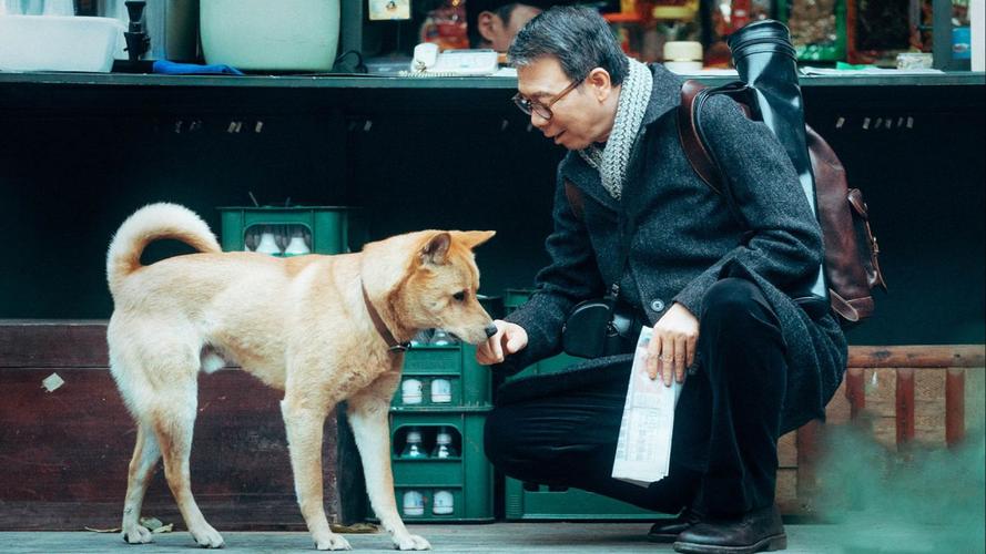 冯小刚拍完忠犬八公狗狗去哪里了？(忠犬八公导演新作)