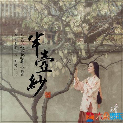 半壶纱是哪一年的?(导演赵小溪)
