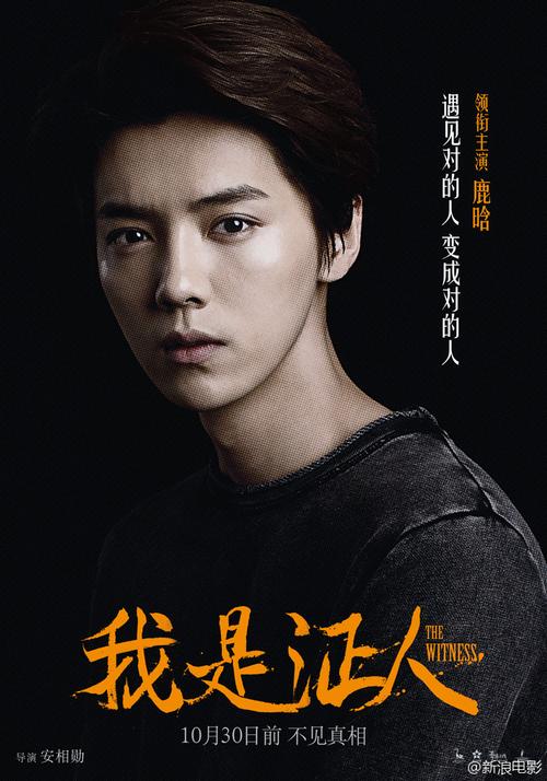 电影我是证人什么时候上映？(鹿晗与我是证人导演)