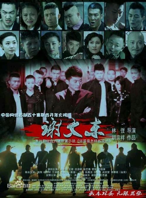 为什么谢文东的电视剧看不了?(胡宗祥导演的电影)