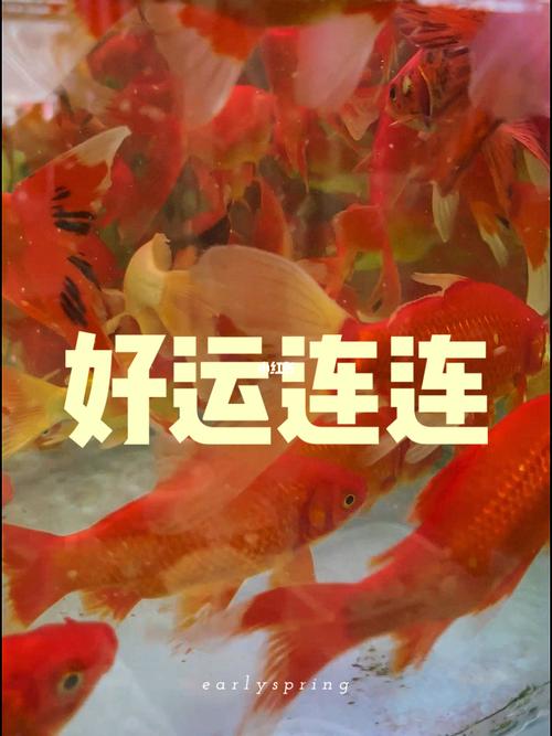 好运连连活动持续多长时间？(好运连连到导演是谁)