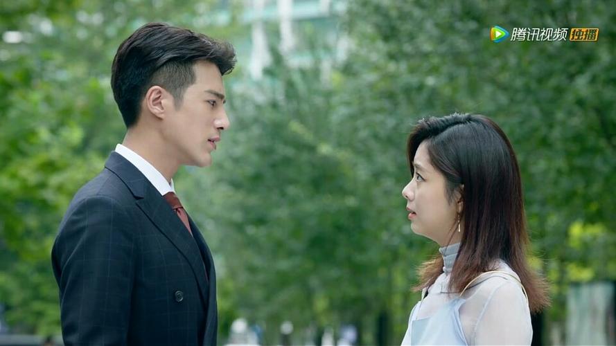 狐狸的夏天第一部剧情介绍?(狐狸的夏天导演)