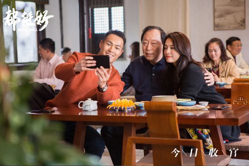 周丝悦是哪个电视剧里的人物?(2016最佳电视剧导演)