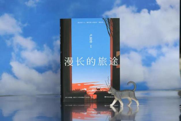 漫长的旅途卢思浩主要讲的什么？(罗曼导演的电影)