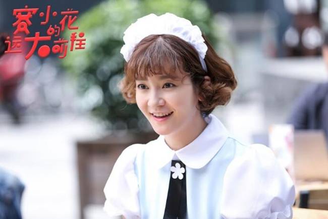 赛小花的远大前程,故事情节?(塞小花的远大前程导演)