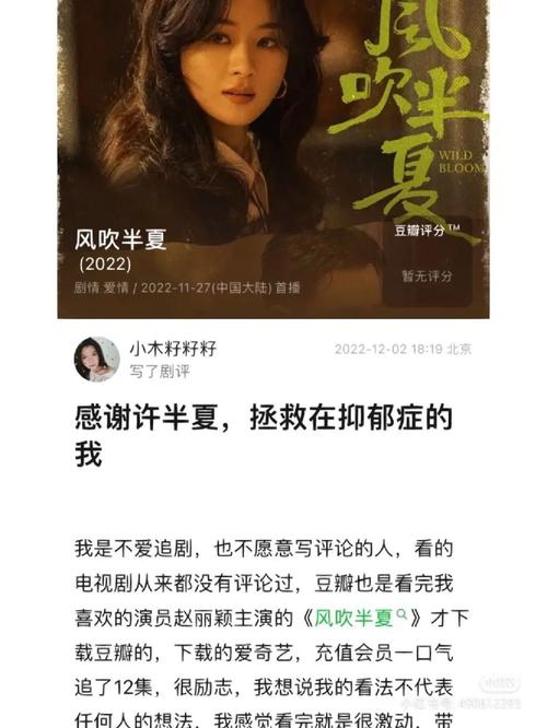风吹半夏导演还拍过什么？(优酷青年导演计划剧目)