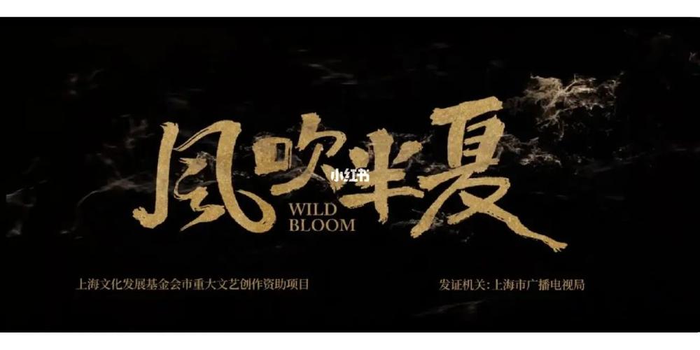 风吹半夏导演还拍过什么?(优酷青年导演计划剧目)