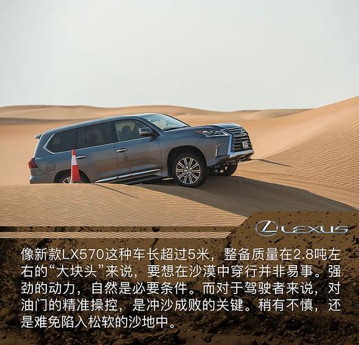 开着雷克萨斯在沙漠去救女儿是什么电影?(导演段国云)