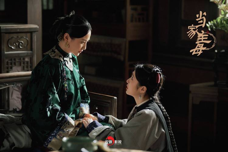 主母当家在什么卫视?(诗书中华导演)
