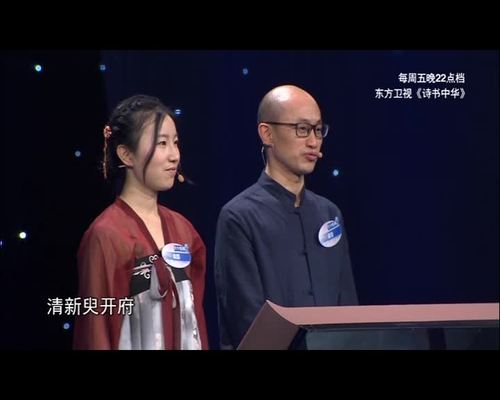 东方卫视四字节目？(诗书中华导演是谁啊)