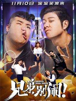 闹闹别闹多少集？(导演别闹 电视剧)