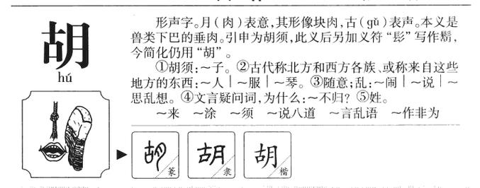 胡组词有哪些词语？(内地导演 胡)