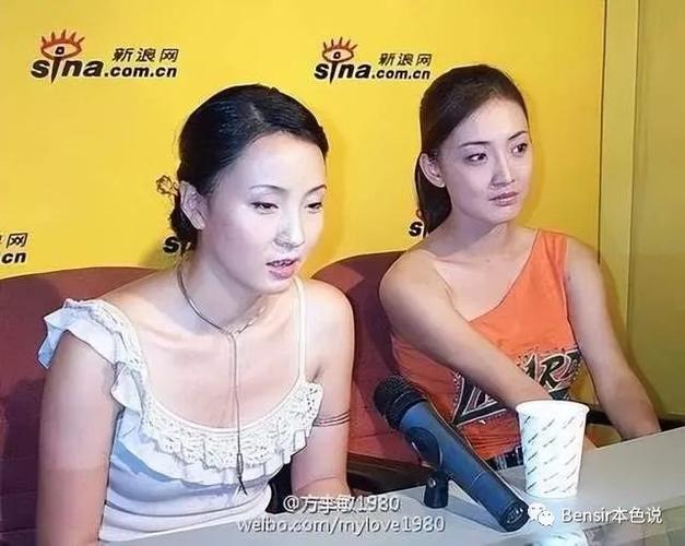 我问一部牛莉演的电视剧?(导演姜文杨)