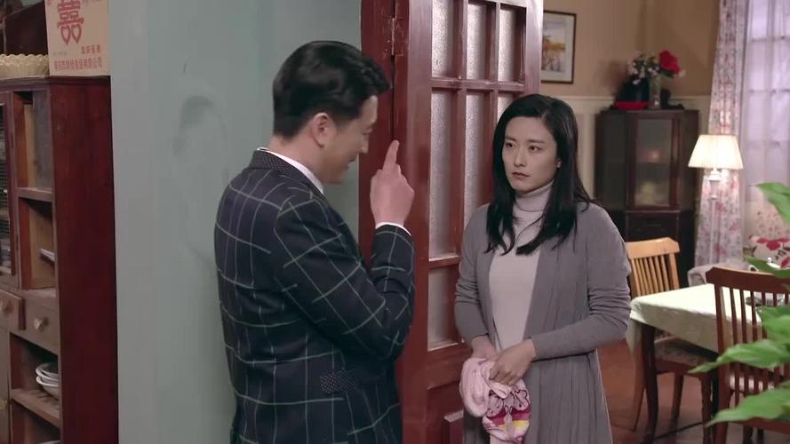 司梦南苏扬是什么电视剧?(王义明导演简介)