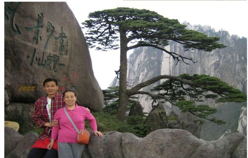 如果把黄山的迎客松砍了怎么办？(毛片导演被审讯)