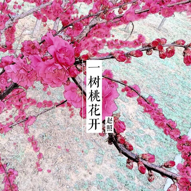 为你盛开歌曲寓意?(一树桃花开导演是谁)