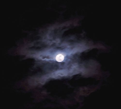 是月黑风高还是夜黑风高?顺便解释一下?(优酷月黑风高夜的导演)