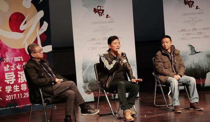 北京导演有哪些？(北电的导演)