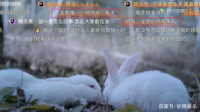 陈情令导演要求咬破嘴是第几集?(导演要求吻戏)