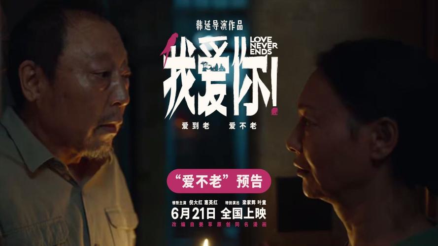 我爱你电影适合多大的人看?(电影爱导演)