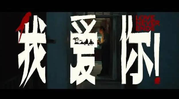 我爱你电影适合多大的人看？(电影爱导演)