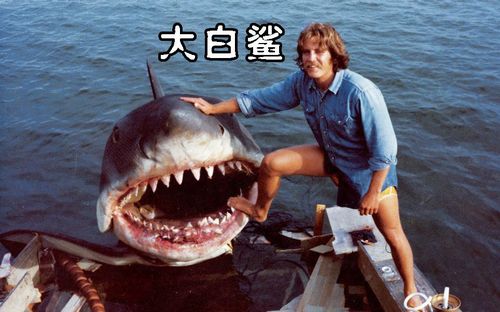 如何评价斯皮尔伯格的《大白鲨》以及这个导演？(美国著名导演大白鲨)