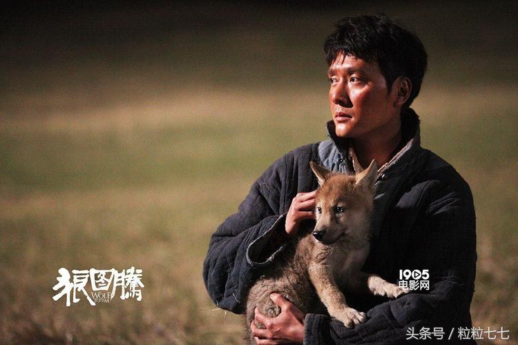 狼图腾电影导演?(新版狼图腾导演)